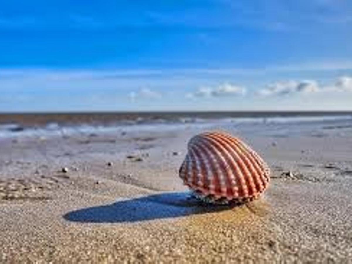 Pass The Keys Fabulous Beach Front Holiday Location Lydd Экстерьер фото